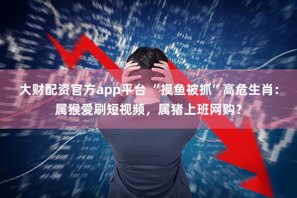 大财配资官方app平台 “摸鱼被抓”高危生肖：属猴爱刷短视频，属猪上班网购？