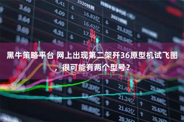 黑牛策略平台 网上出现第二架歼36原型机试飞图，很可能有两个型号？